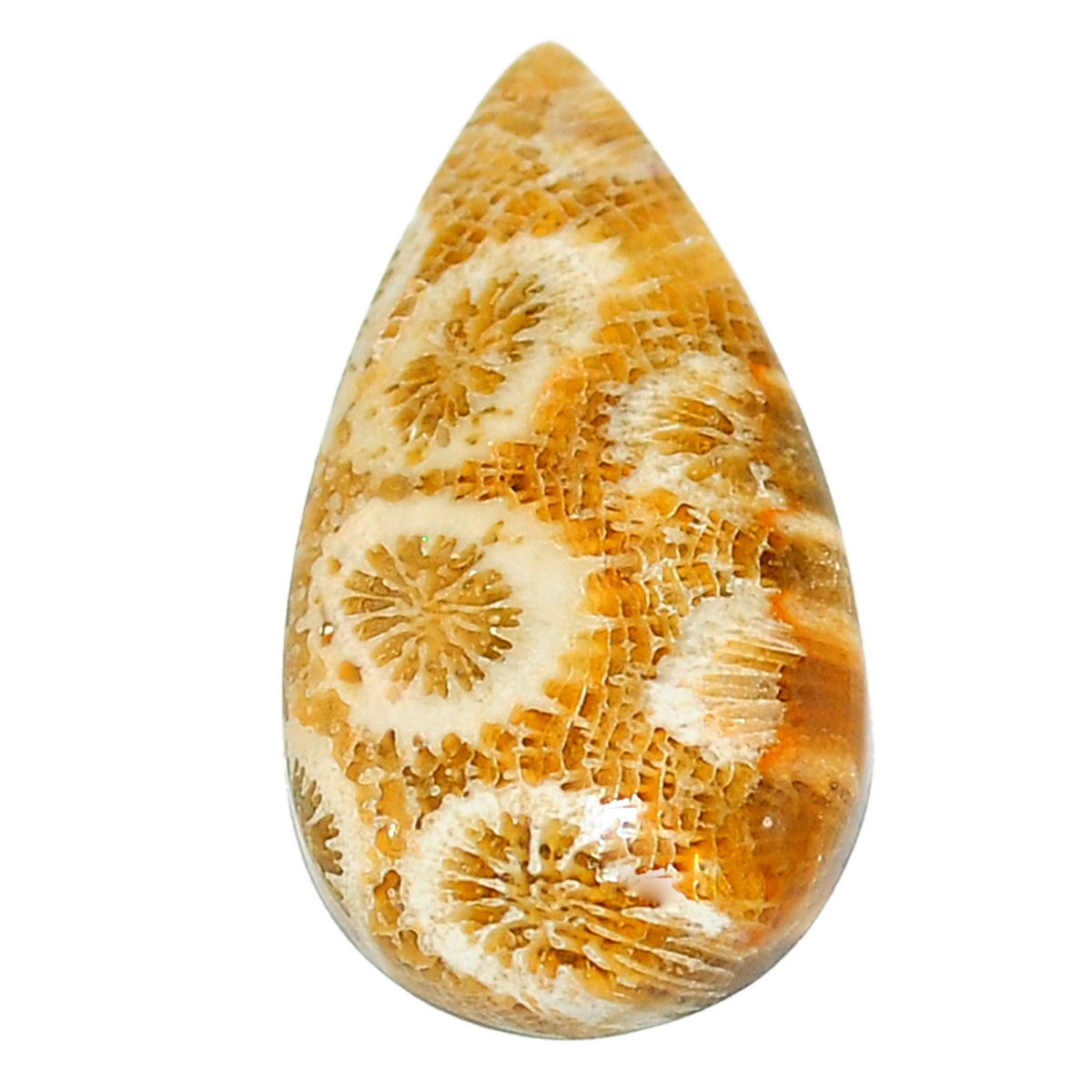 ★keike★ Shape of Perth Coral coral-resin-earrings_600x.jpg?
