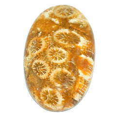 Natural 20.05cts fossil coral petoskey stone 28x16 mm oval loose gemstone s22939