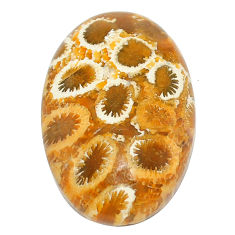 Natural 26.30cts fossil coral petoskey stone 29x18 mm oval loose gemstone s22936