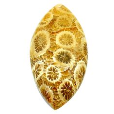 Natural 18.10cts fossil coral petoskey stone 30x15 mm loose gemstone s22943