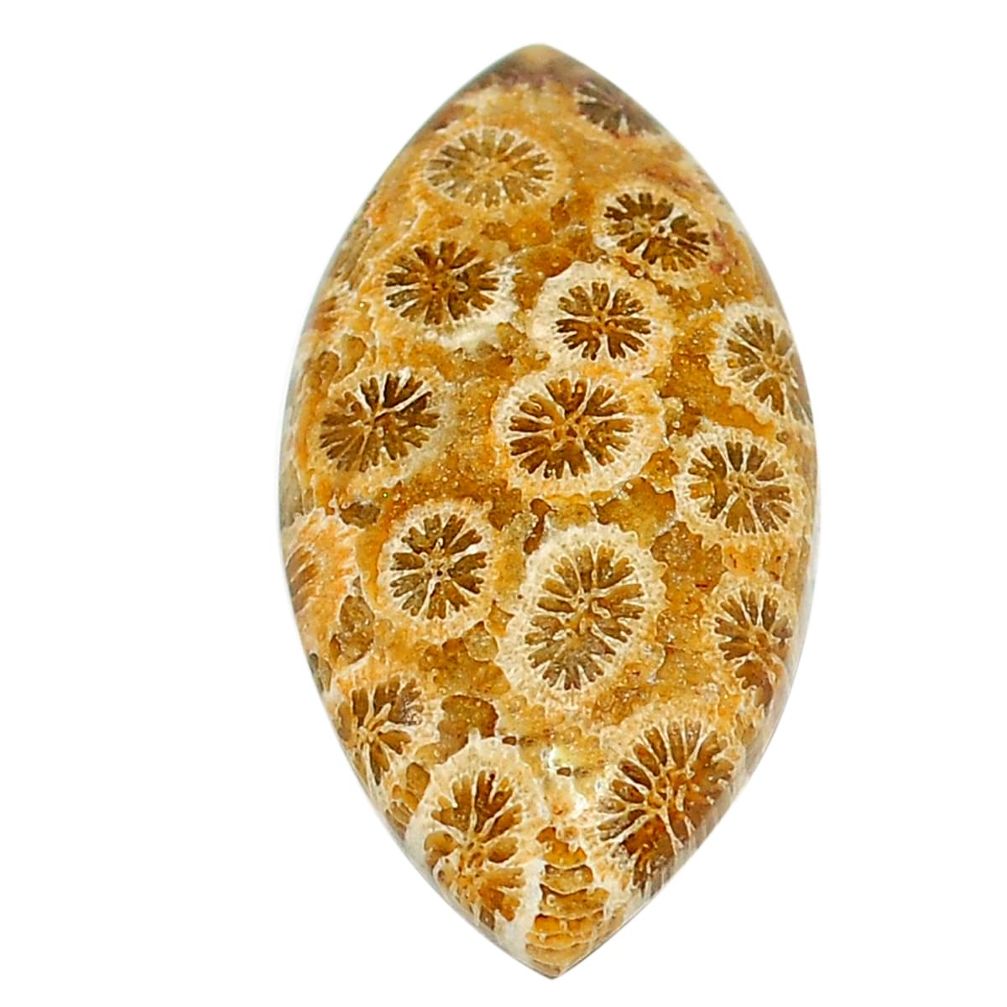 Natural 25.30cts fossil coral petoskey stone 32.5x17 mm loose gemstone s22931
