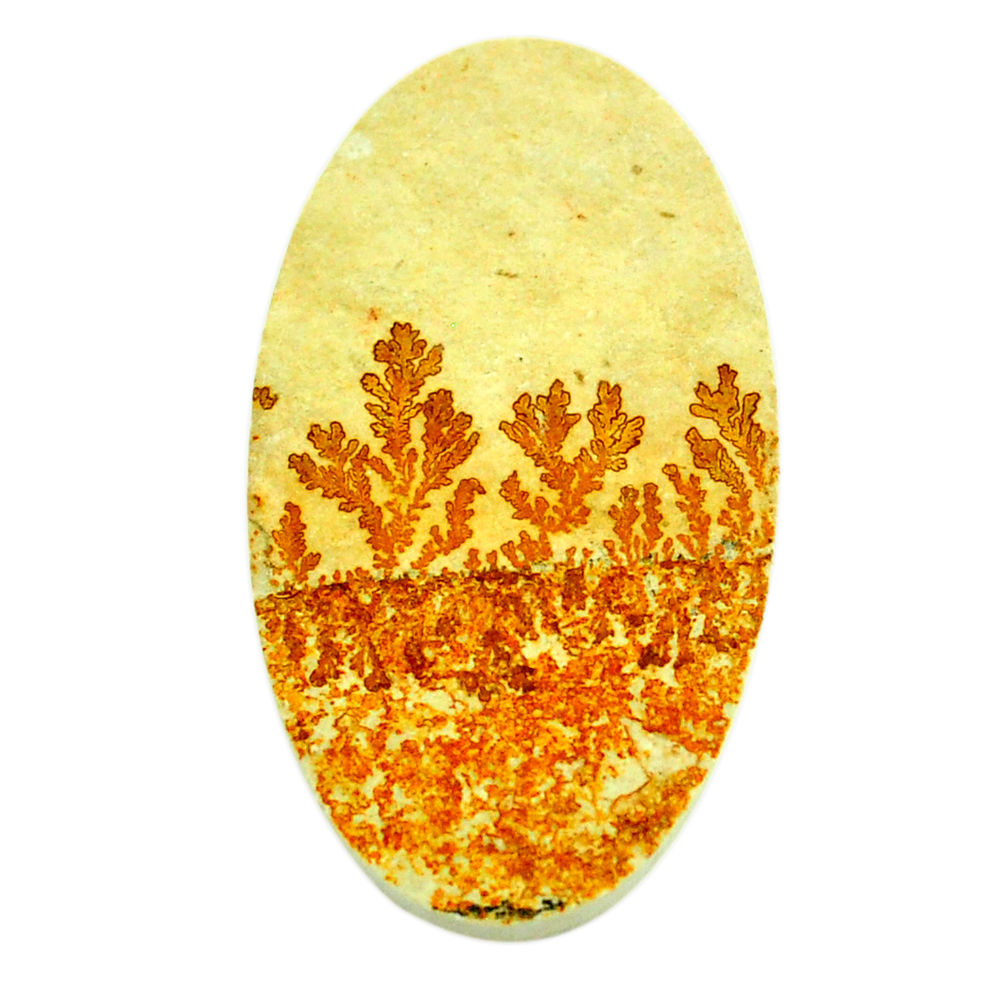 Natural 42.35cts germany psilomelane dendrite 45x24 mm loose gemstone s22067