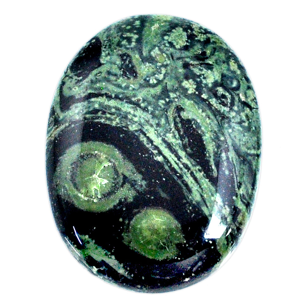 Natural 45.10cts kambaba jasper (stromatolites) 33x25 mm loose gemstone s20833