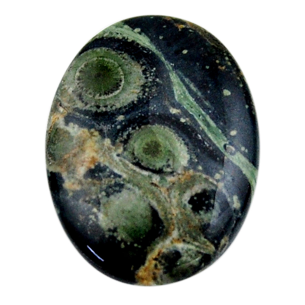 Natural 27.40cts kambaba jasper green cabochon 30x22 mm loose gemstone s19013