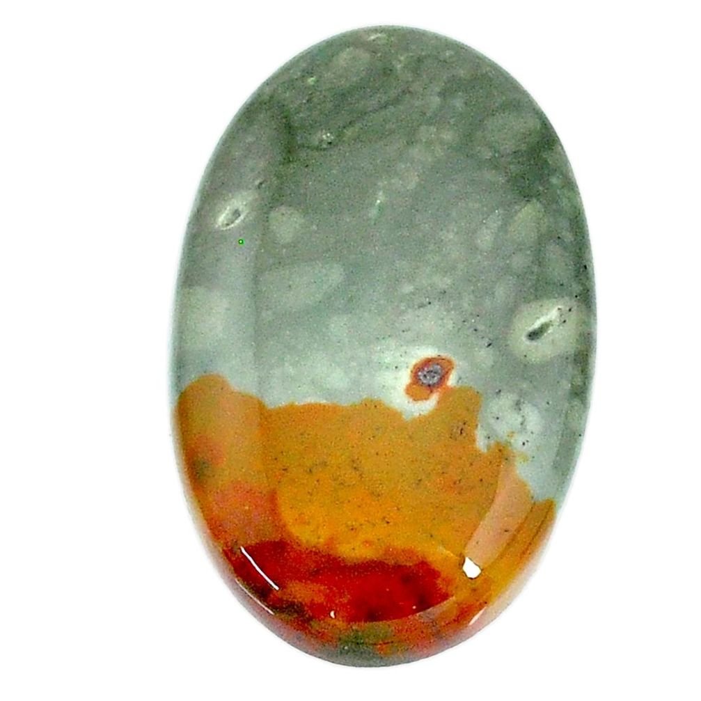 Natural 32.40cts landscape picture jasper 33x20 mm oval loose gemstone s22725