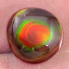 Natural 2.85cts mexican fire agate cabochon 10x10 mm fancy loose gemstone s27412