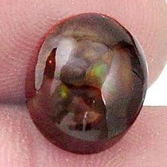 Natural 5.10cts mexican fire agate cabochon 12x10 mm fancy loose gemstone s27409