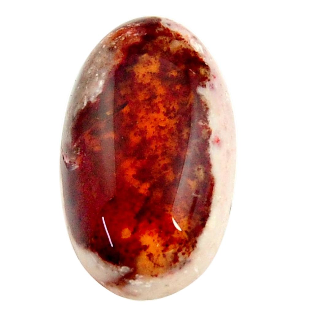  mexican fire opal cabochon 20x12 mm oval loose gemstone s16249