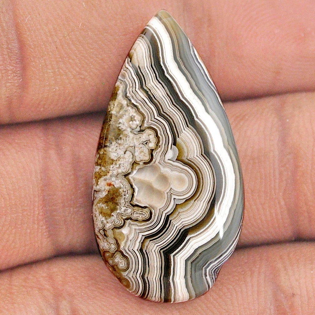 Natural 20.30cts mexican laguna lace agate 32x16.5 mm loose gemstone s25682
