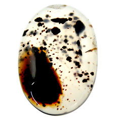  montana agate brown cabochon 29x19 mm loose gemstone s17515
