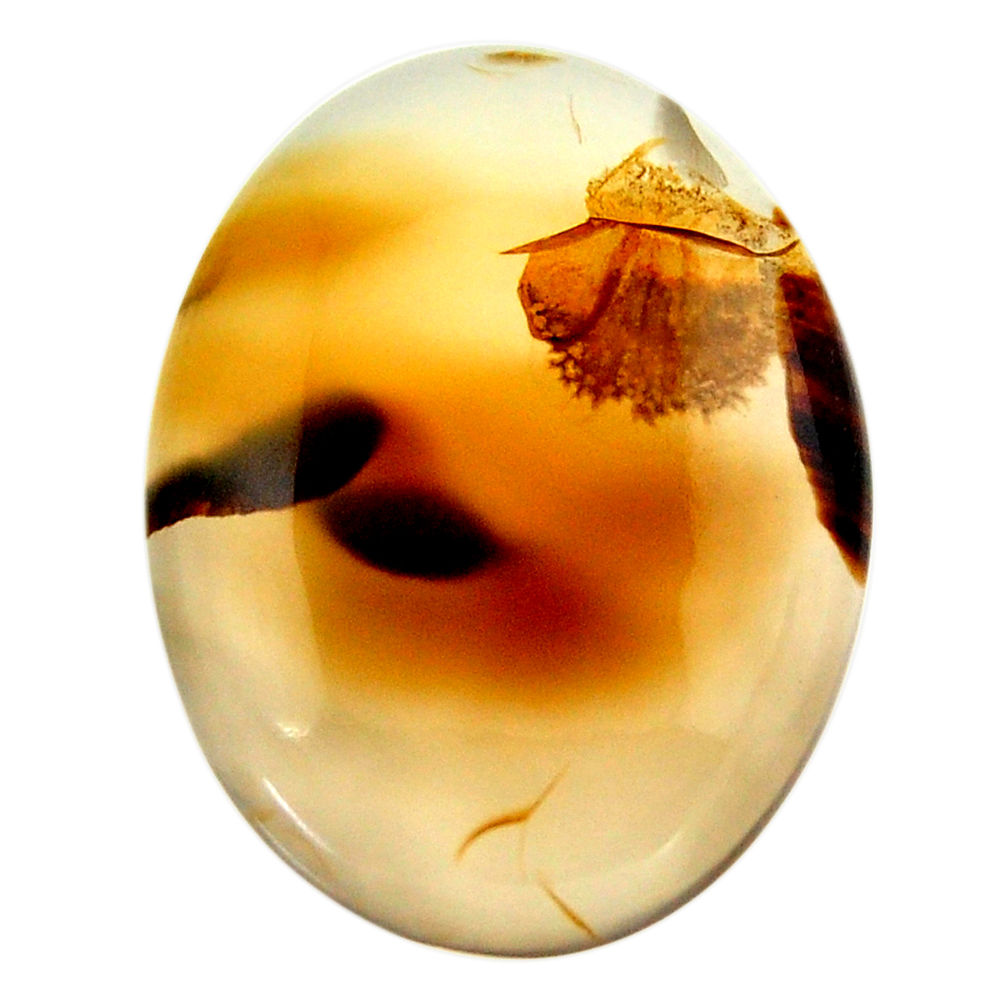  montana agate brown cabochon 29x22 mm loose gemstone s17512