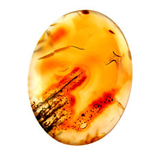  montana agate brown cabochon 30x21.5 mm loose gemstone s17536