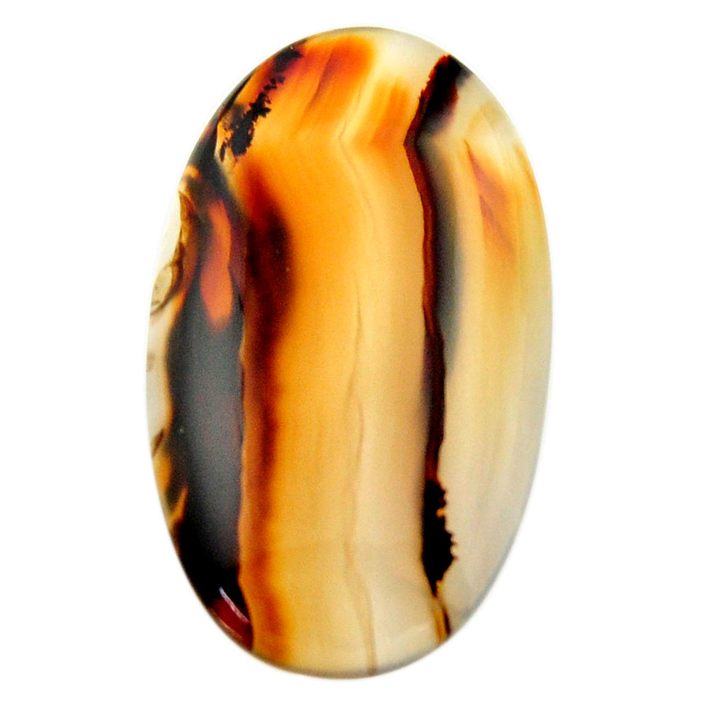Natural 21.20cts montana agate brown cabochon 31x18 mm loose gemstone s17526