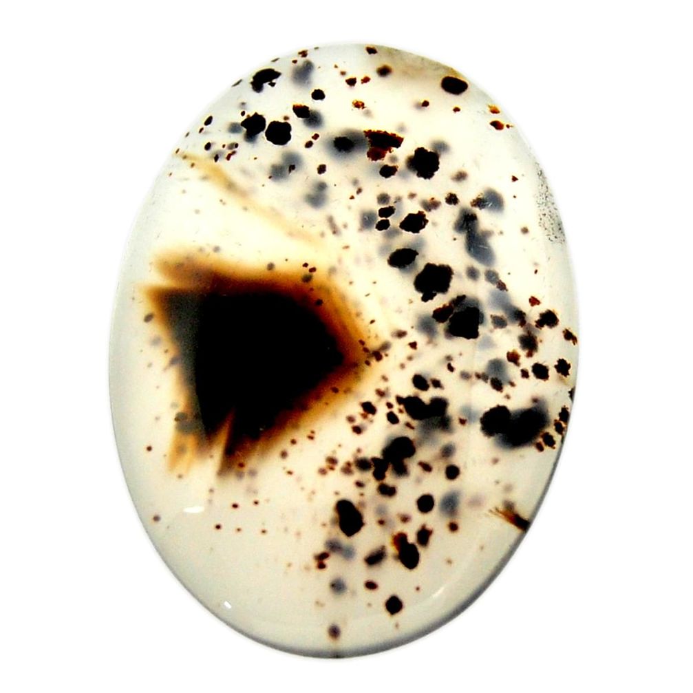 montana agate brown cabochon 31x22 mm loose gemstone s17520