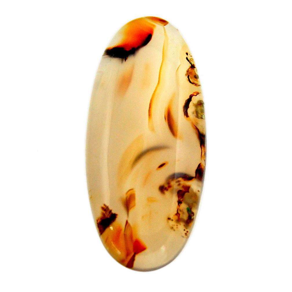  montana agate brown cabochon 33x15 mm loose gemstone s17507