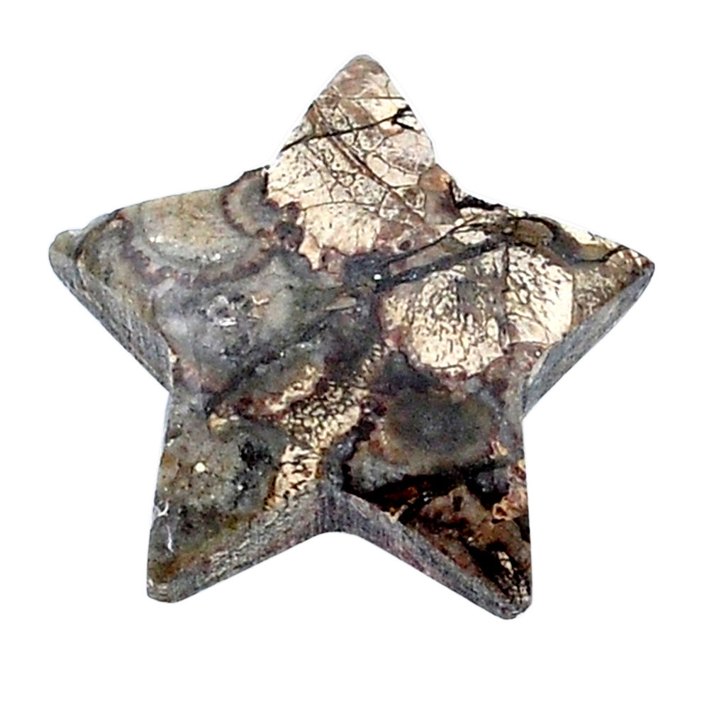 Natural 15.40cts mushroom rhyolite 20x20 mm star fish loose gemstone s26870