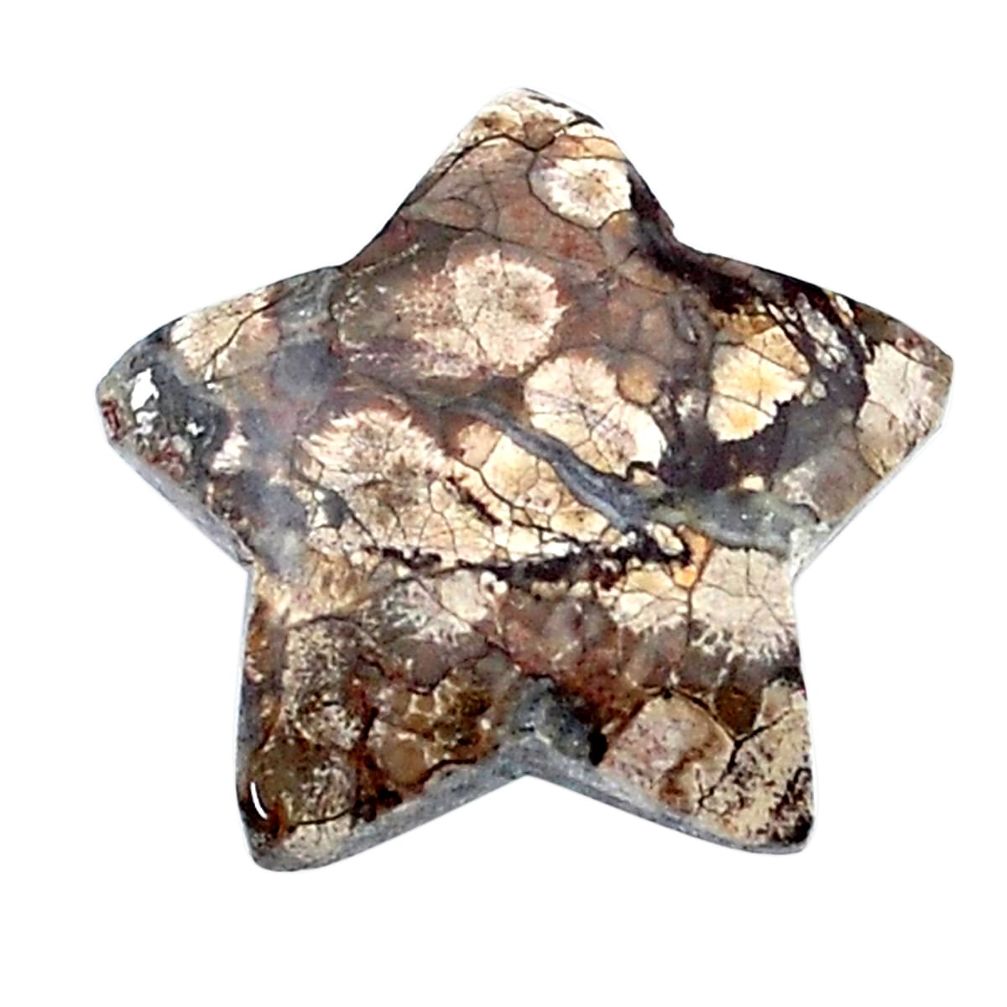 Natural 10.20cts mushroom rhyolite 20x20 mm star fish loose gemstone s26882