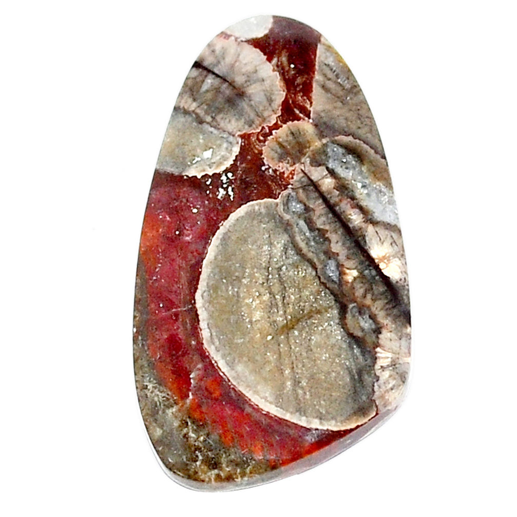 Natural 8.40cts mushroom rhyolite brown cabochon 26x14 mm loose gemstone s23167