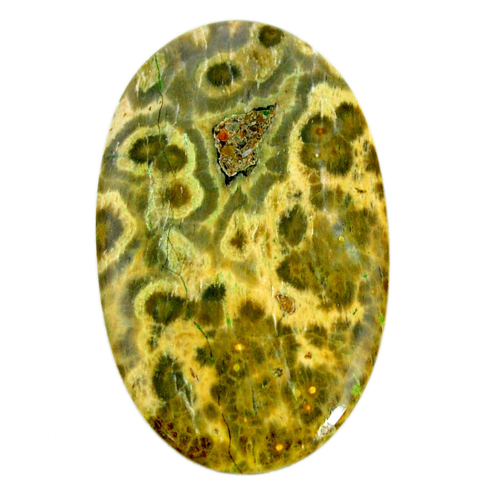 Natural 41.30cts ocean sea jasper (madagascar) 46x27 mm loose gemstone s19441