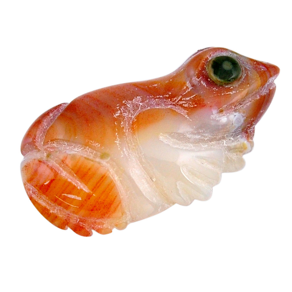 Natural 14.30cts ocean sea jasper carving 29x15 mm loose frog gemstone s30077