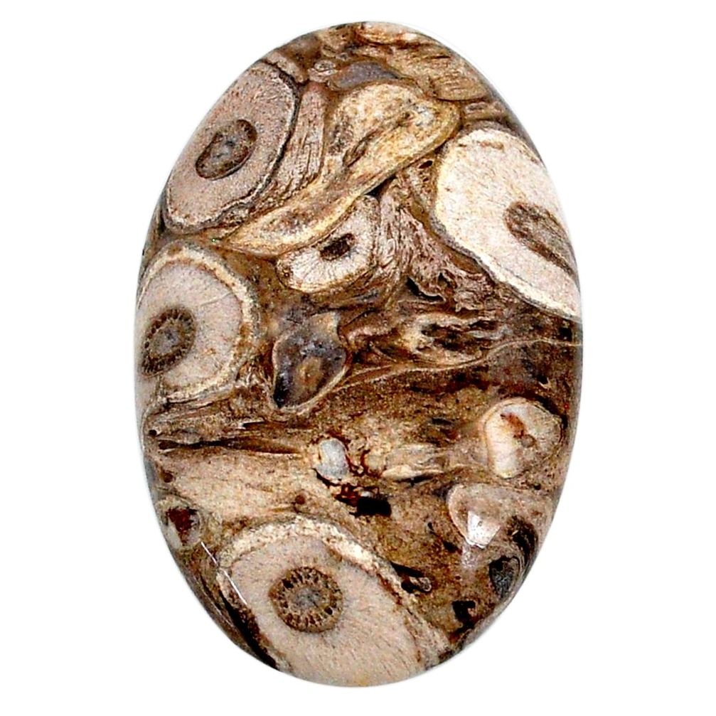 Natural 38.15cts palm root agate brown cabochon 37x24 mm loose gemstone s20679