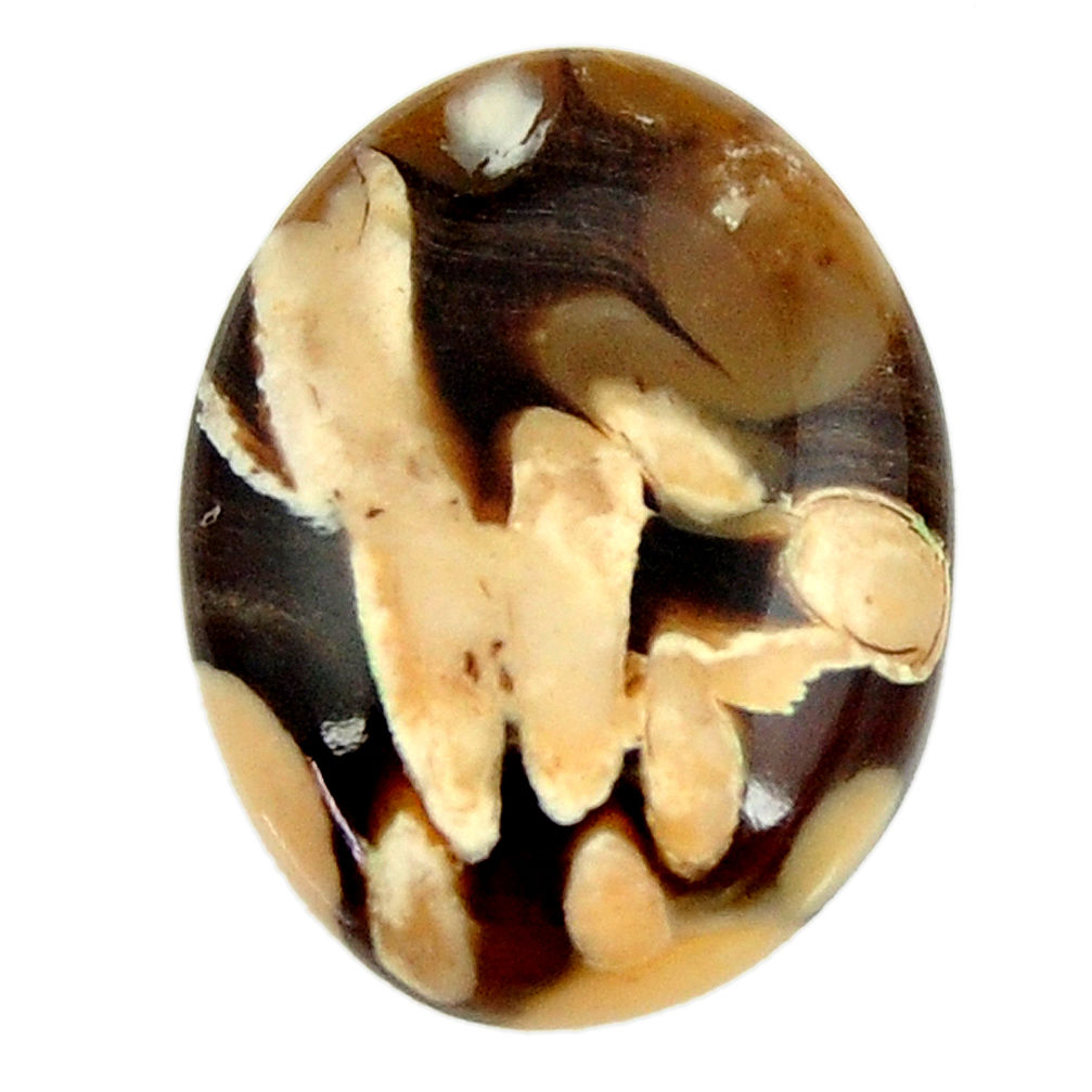 Natural 11.30cts peanut petrified wood fossil 21x16 mm loose gemstone s17159