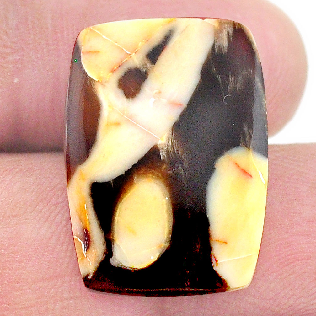 Natural 11.30cts peanut petrified wood fossil 22x16 mm loose gemstone s23221