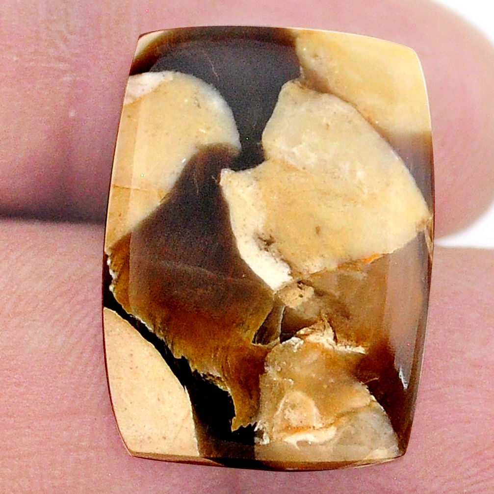 Natural 15.10cts peanut petrified wood fossil 22x16 mm loose gemstone s23228