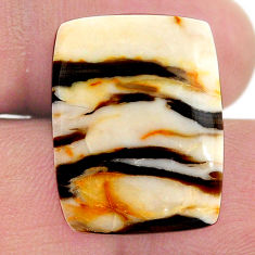 Natural 12.45cts peanut petrified wood fossil 22x17 mm loose gemstone s23238