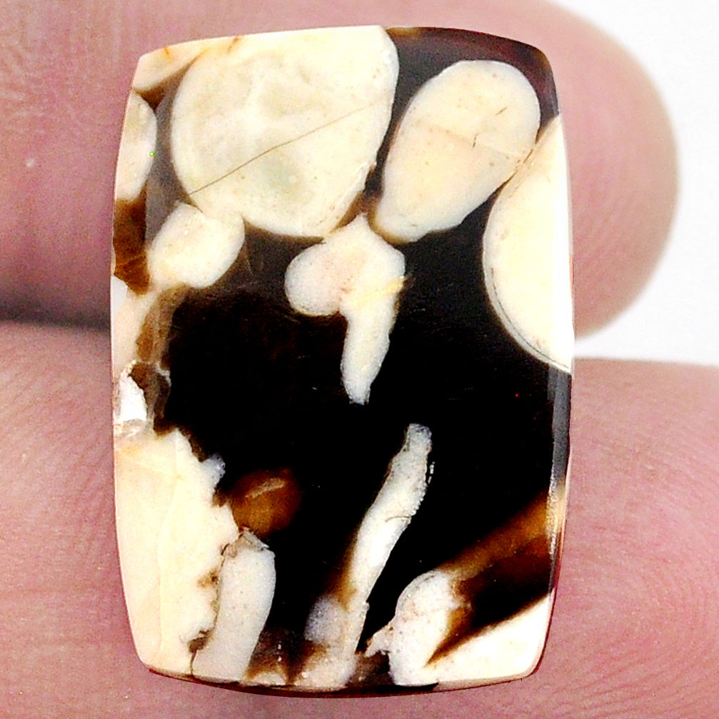 Natural 12.35cts peanut petrified wood fossil 23.5x16 mm loose gemstone s23239