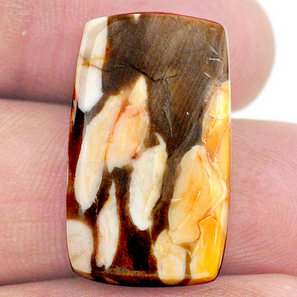 Natural 14.45cts peanut petrified wood fossil 24x14 mm loose gemstone s23227