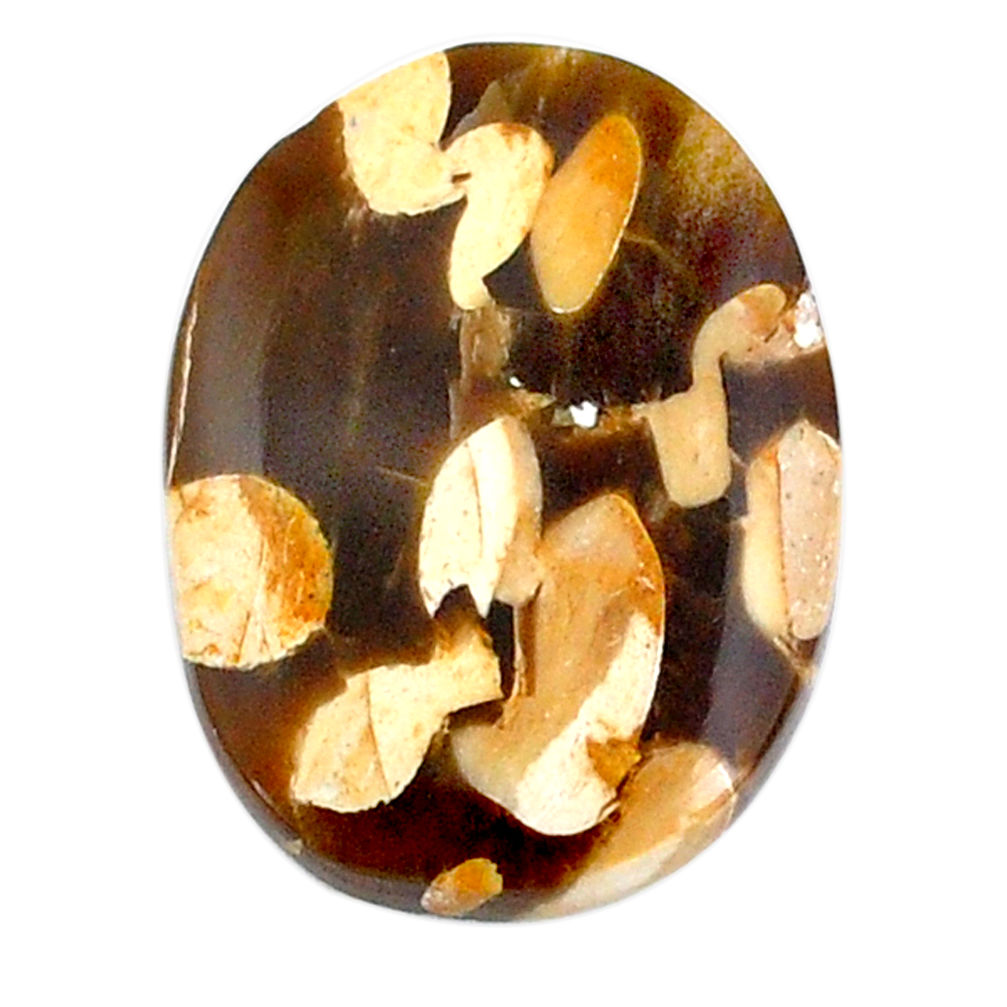 Natural 16.30cts peanut petrified wood fossil 24x18mm oval loose gemstone s21199