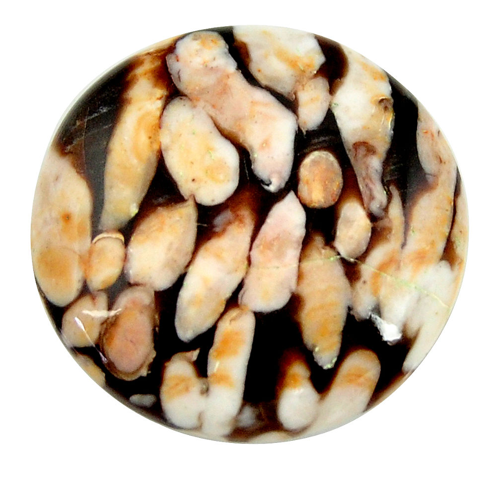 Natural 21.30cts peanut petrified wood fossil 24x24 mm loose gemstone s17127
