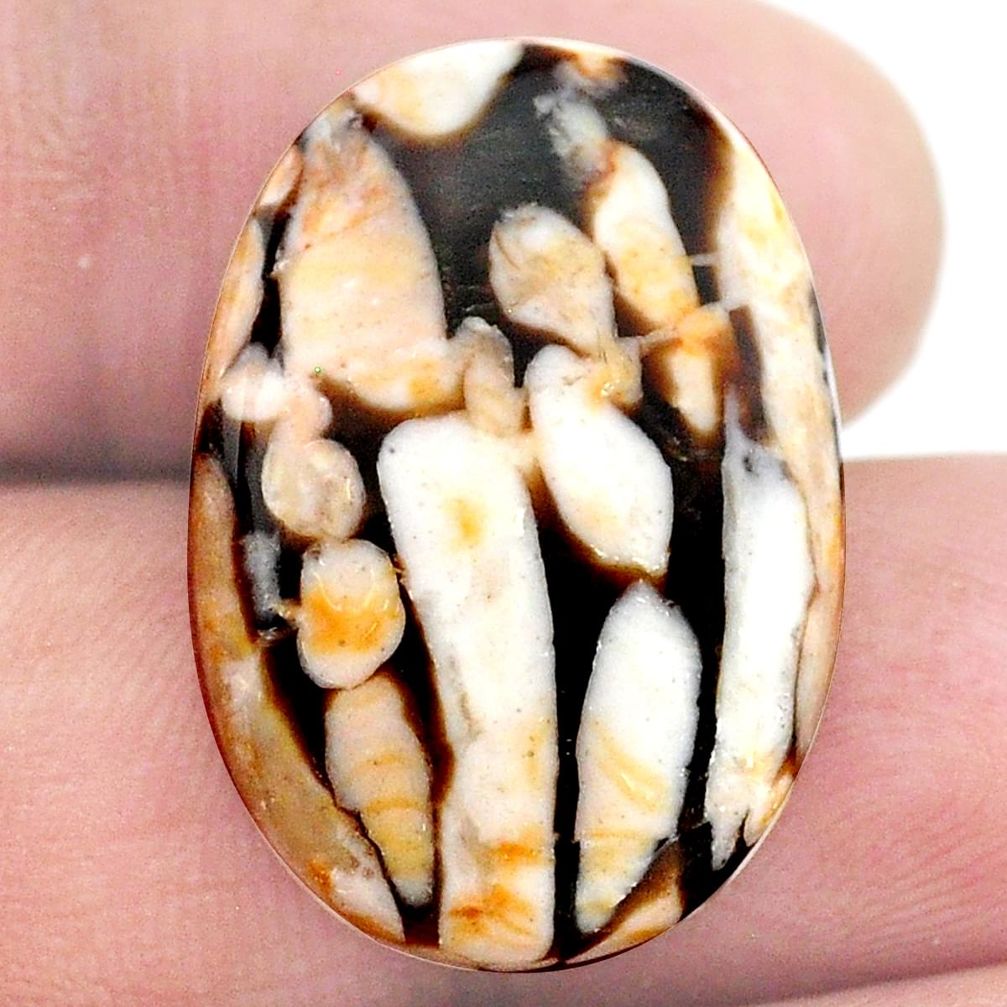 Natural 17.40cts peanut petrified wood fossil 25x17 mm loose gemstone s23224