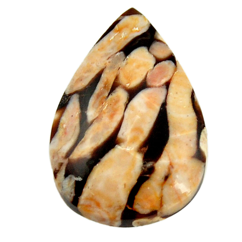 Natural 13.45cts peanut petrified wood fossil 25x17mm pear loose gemstone s17139