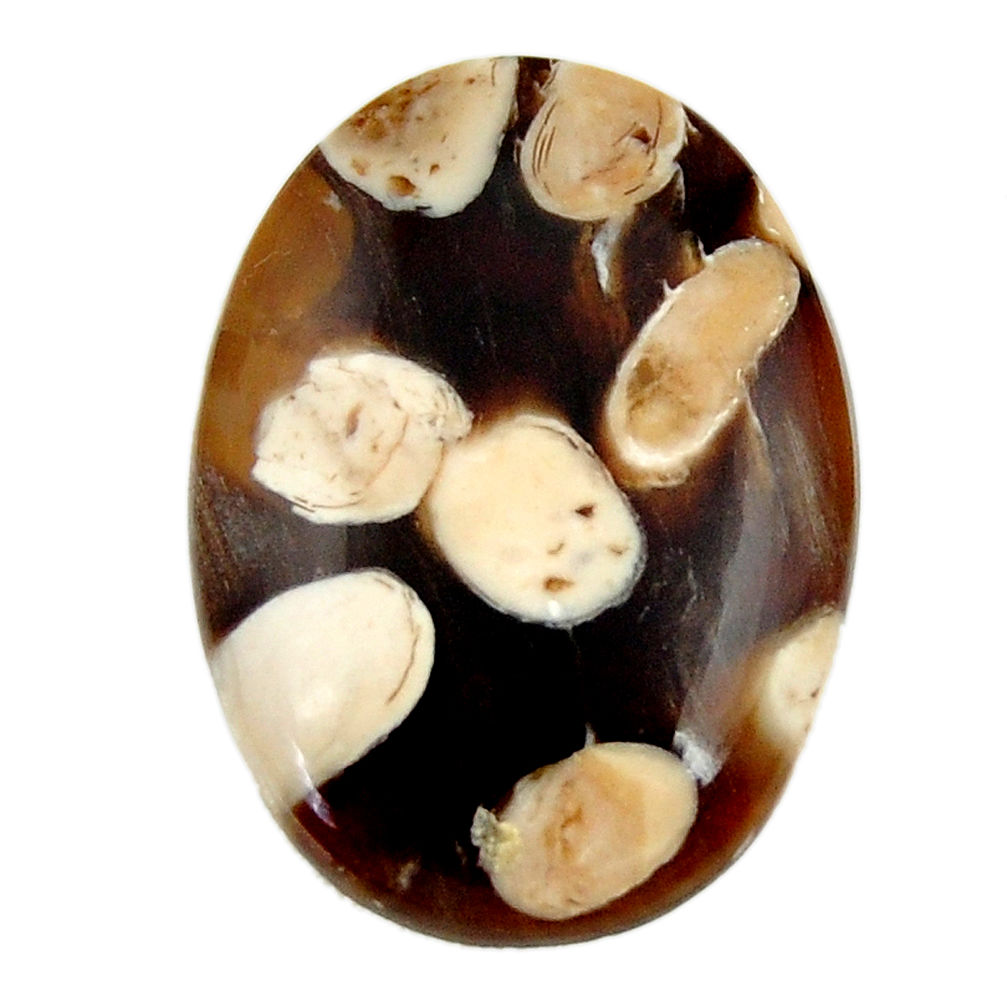  peanut petrified wood fossil 25x18 mm loose gemstone s17158