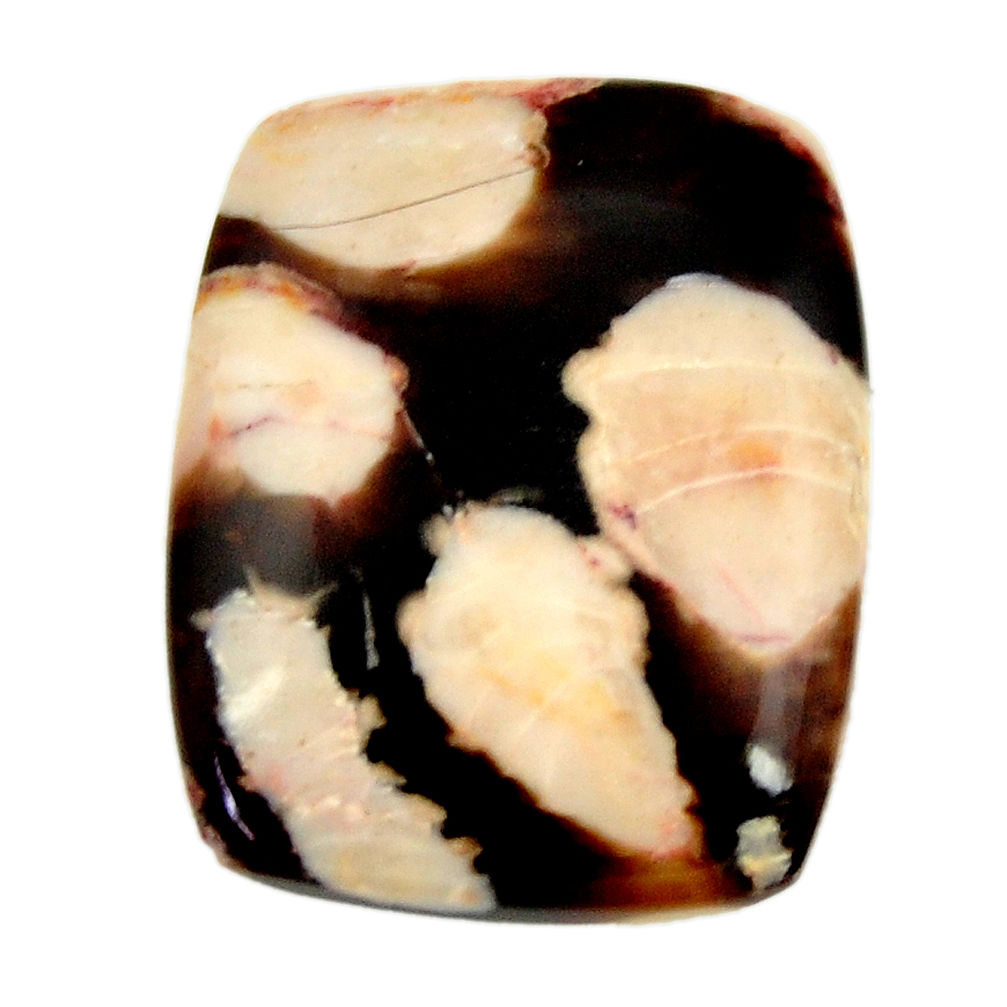  peanut petrified wood fossil 25x20 mm loose gemstone s17155