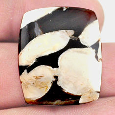 Natural 17.40cts peanut petrified wood fossil 25x20 mm loose gemstone s23222