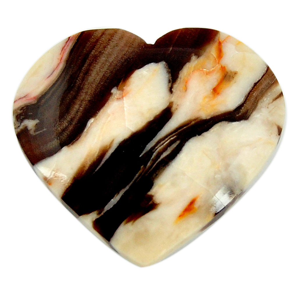 Natural 16.30cts peanut petrified wood fossil 25x22.5 mm loose gemstone s17142