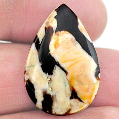 Natural 13.40cts peanut petrified wood fossil 26x17 mm loose gemstone s23229