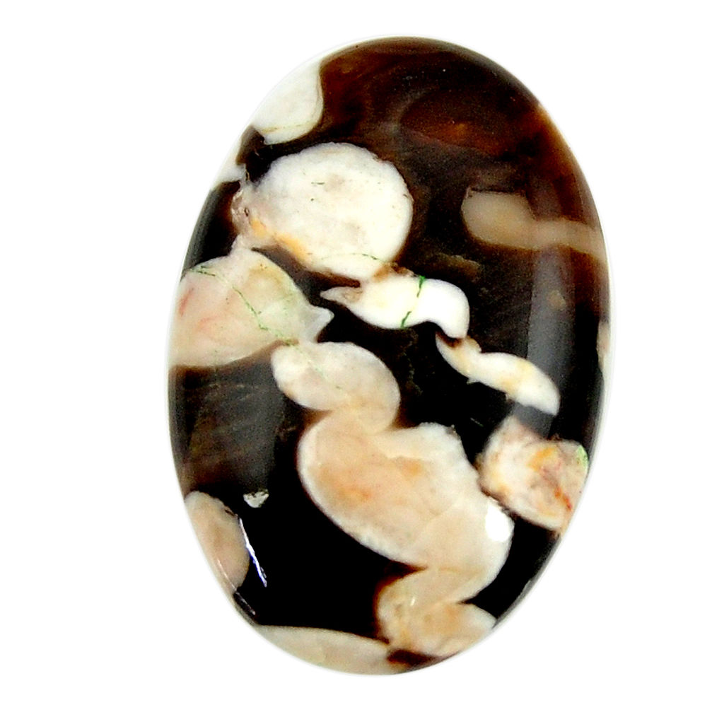 Natural 16.30cts peanut petrified wood fossil 26x17mm oval loose gemstone s17129