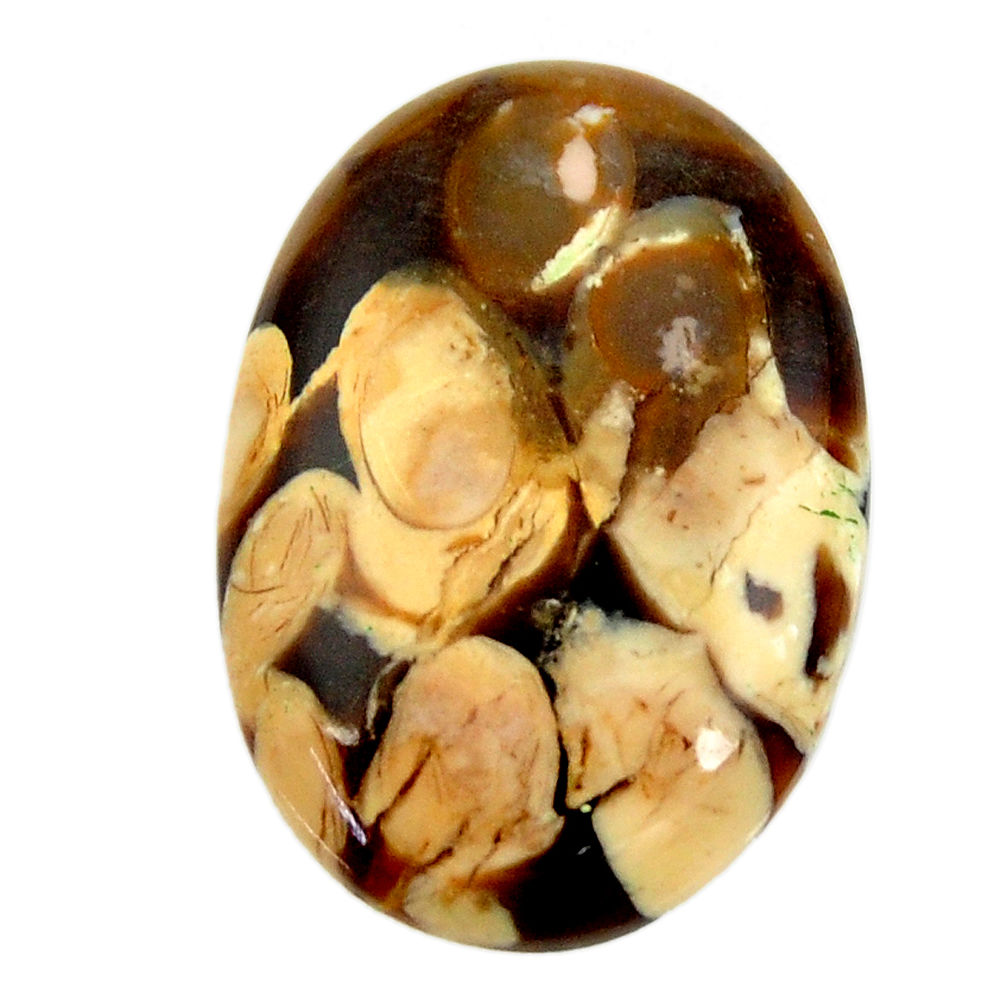 Natural 18.45cts peanut petrified wood fossil 26x18 mm loose gemstone s17125