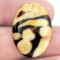 Natural 17.35cts peanut petrified wood fossil 26x18 mm loose gemstone s23225