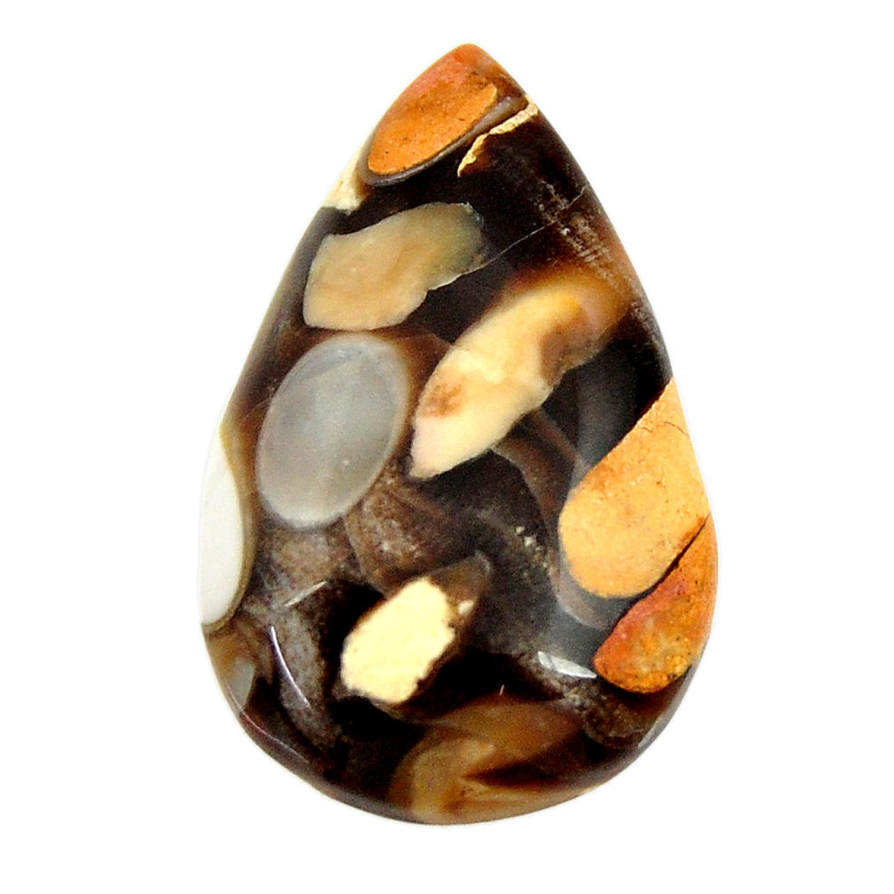 Natural 18.25cts peanut petrified wood fossil 27.5x17.5 mm loose gemstone s17150