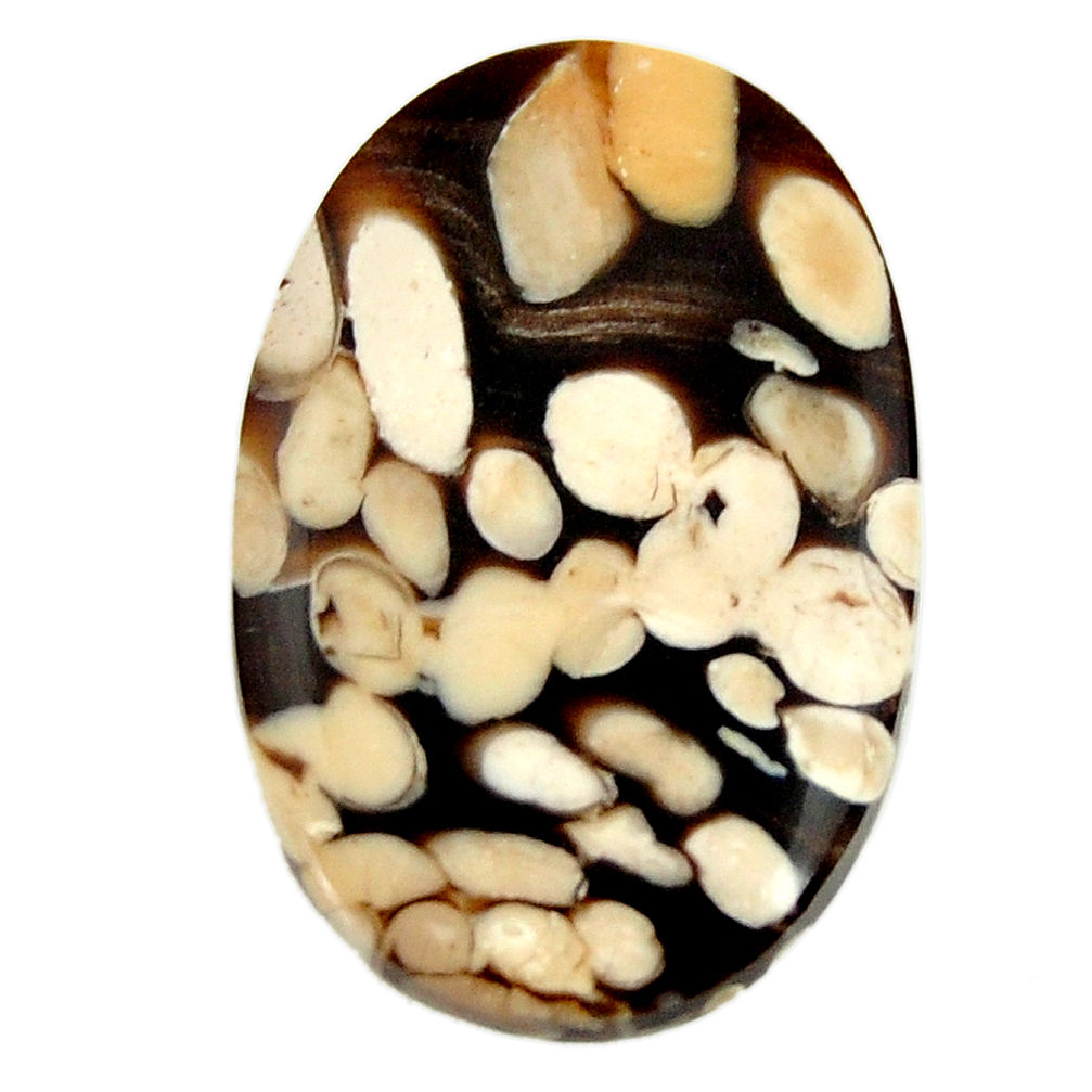  peanut petrified wood fossil 27x17.5 mm loose gemstone s17157