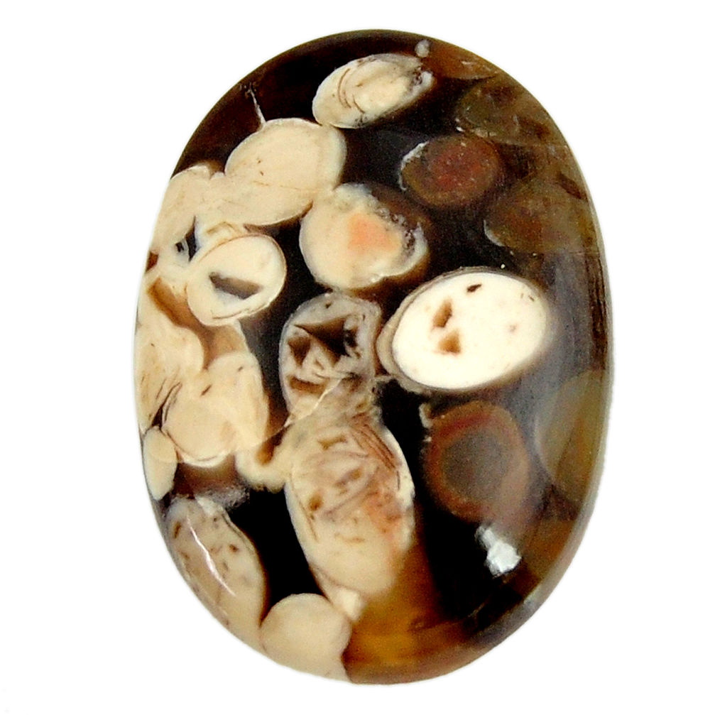 Natural 24.35cts peanut petrified wood fossil 27x19mm oval loose gemstone s17133