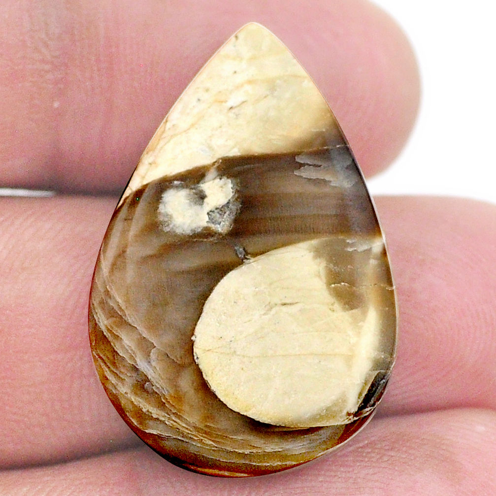 Natural 18.10cts peanut petrified wood fossil 28.5x18.5 mm loose gemstone s23231