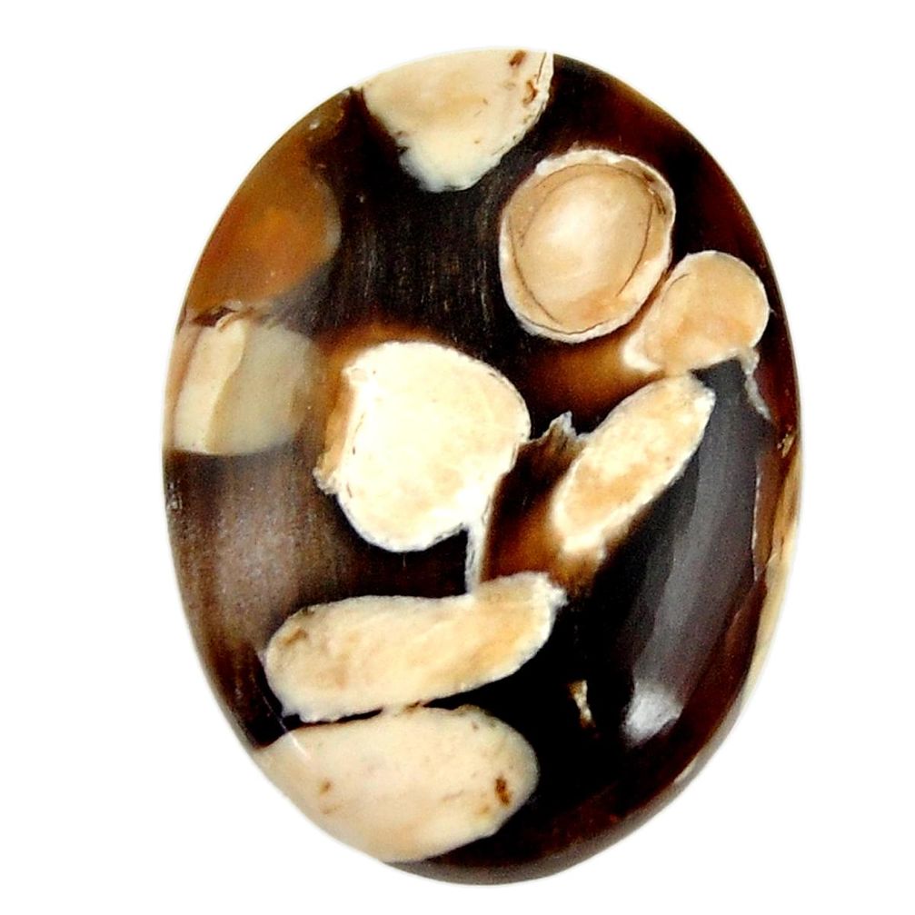 Natural 23.45cts peanut petrified wood fossil 28x20 mm loose gemstone s17151