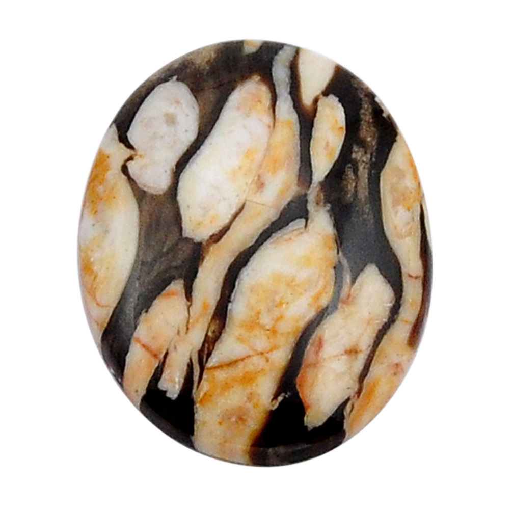 Natural 21.20cts peanut petrified wood fossil 29x22mm oval loose gemstone s29951