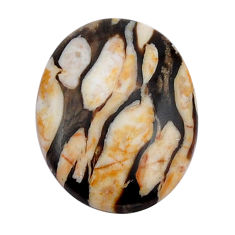 Natural 21.20cts peanut petrified wood fossil 29x22mm oval loose gemstone s29951